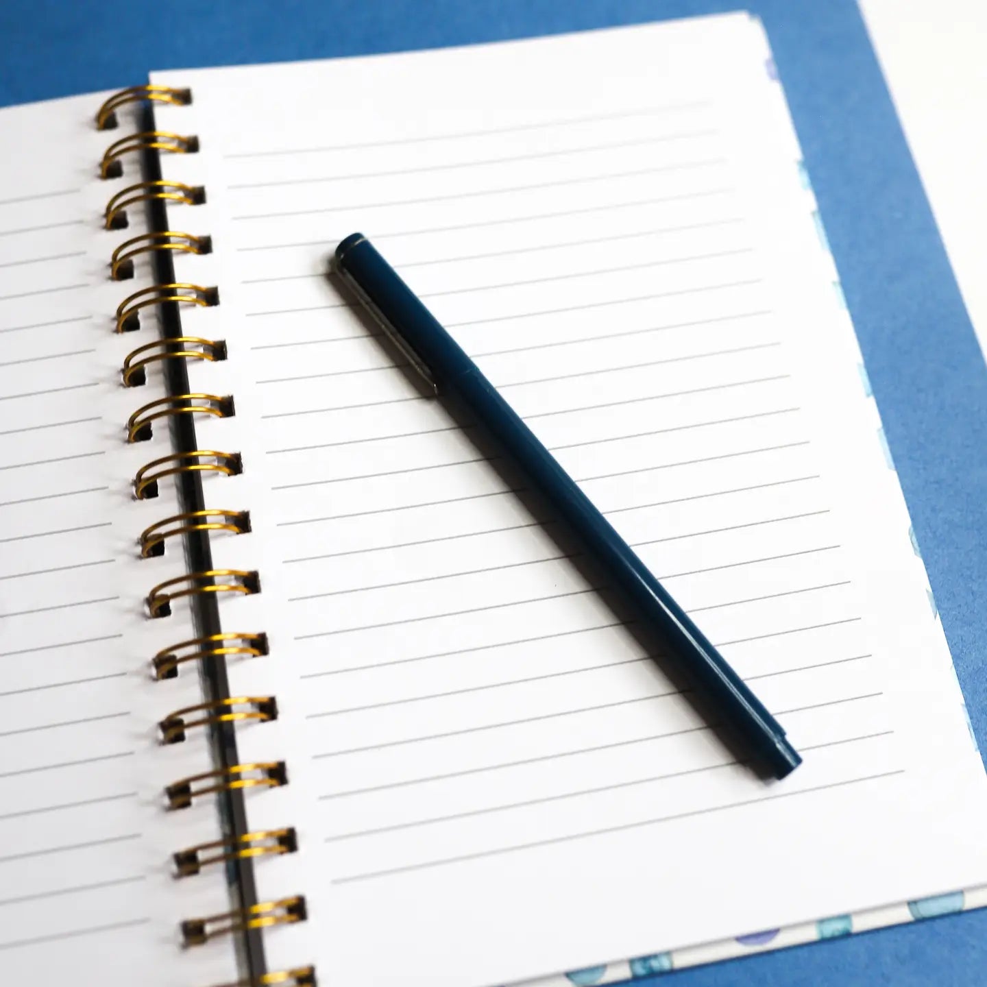 Blueberries Hardcovered Notebook