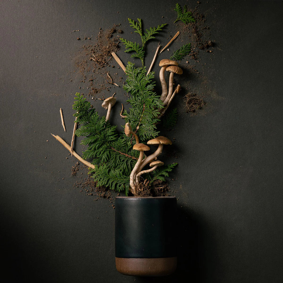 East Fork Small Forage Moon Candle