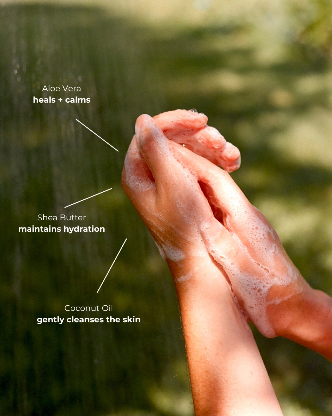 Body & Hand Wash - Cedarwood and Rosemary
