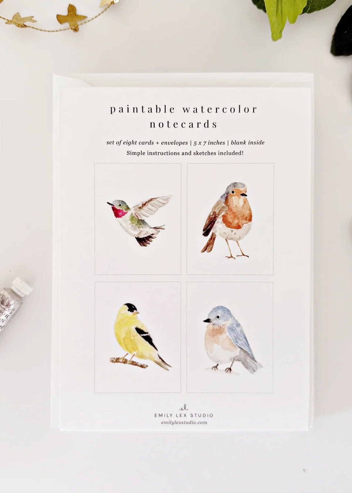 Birds Paintable Watercolor Notecard Set
