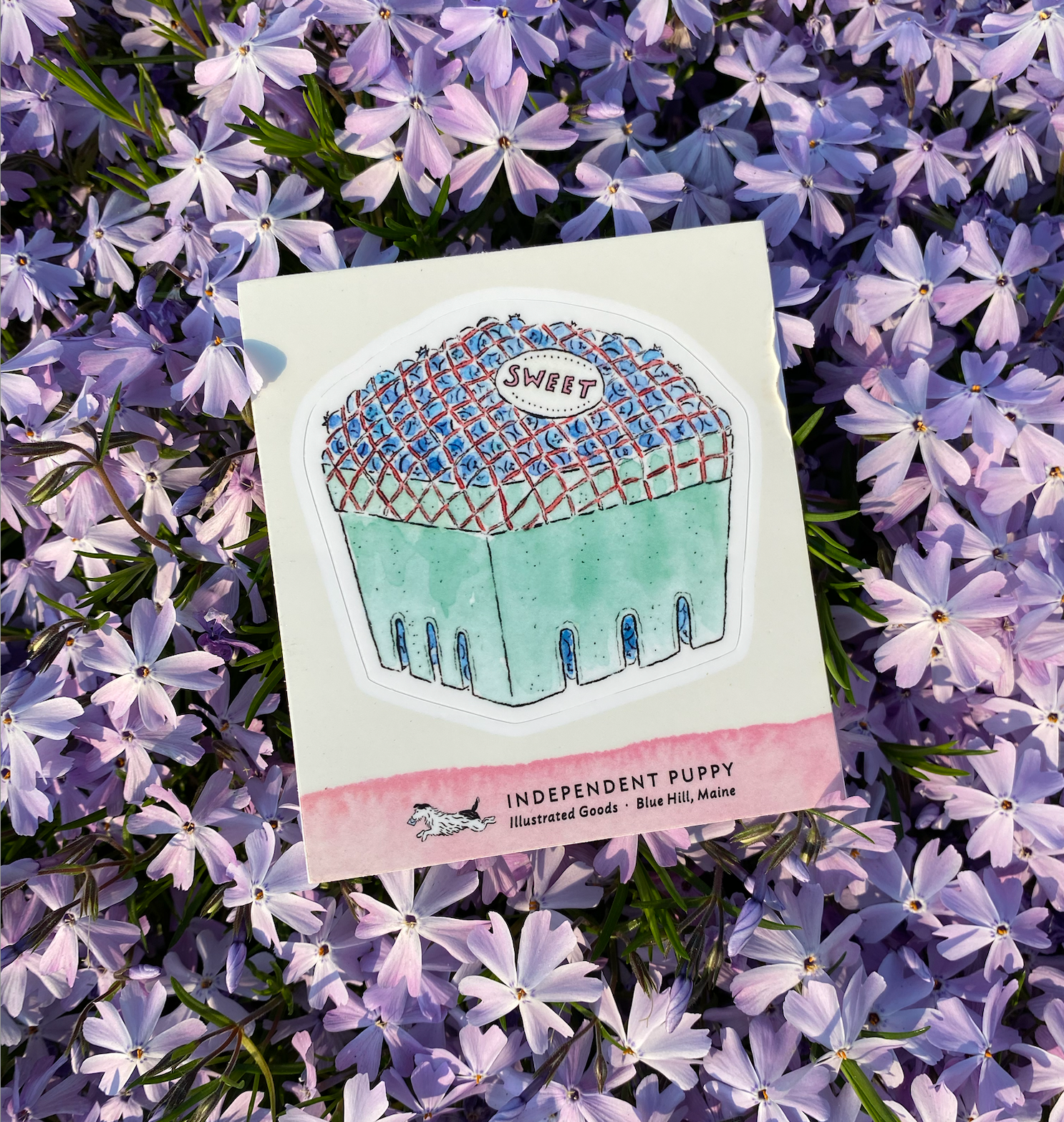 Sweet Pint of Blueberries Kiss-Cut Sticker