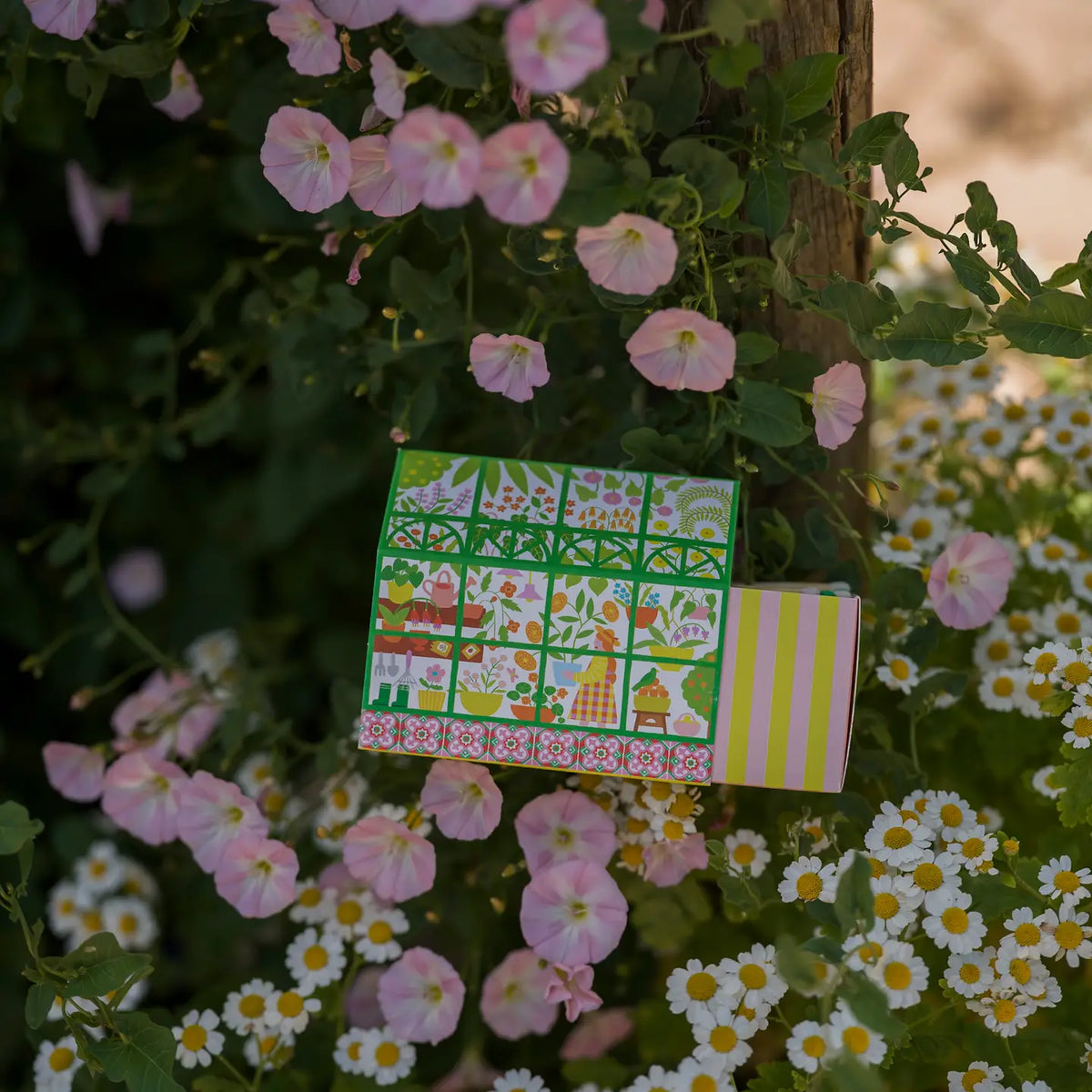 Greenhouse House Safety Matches