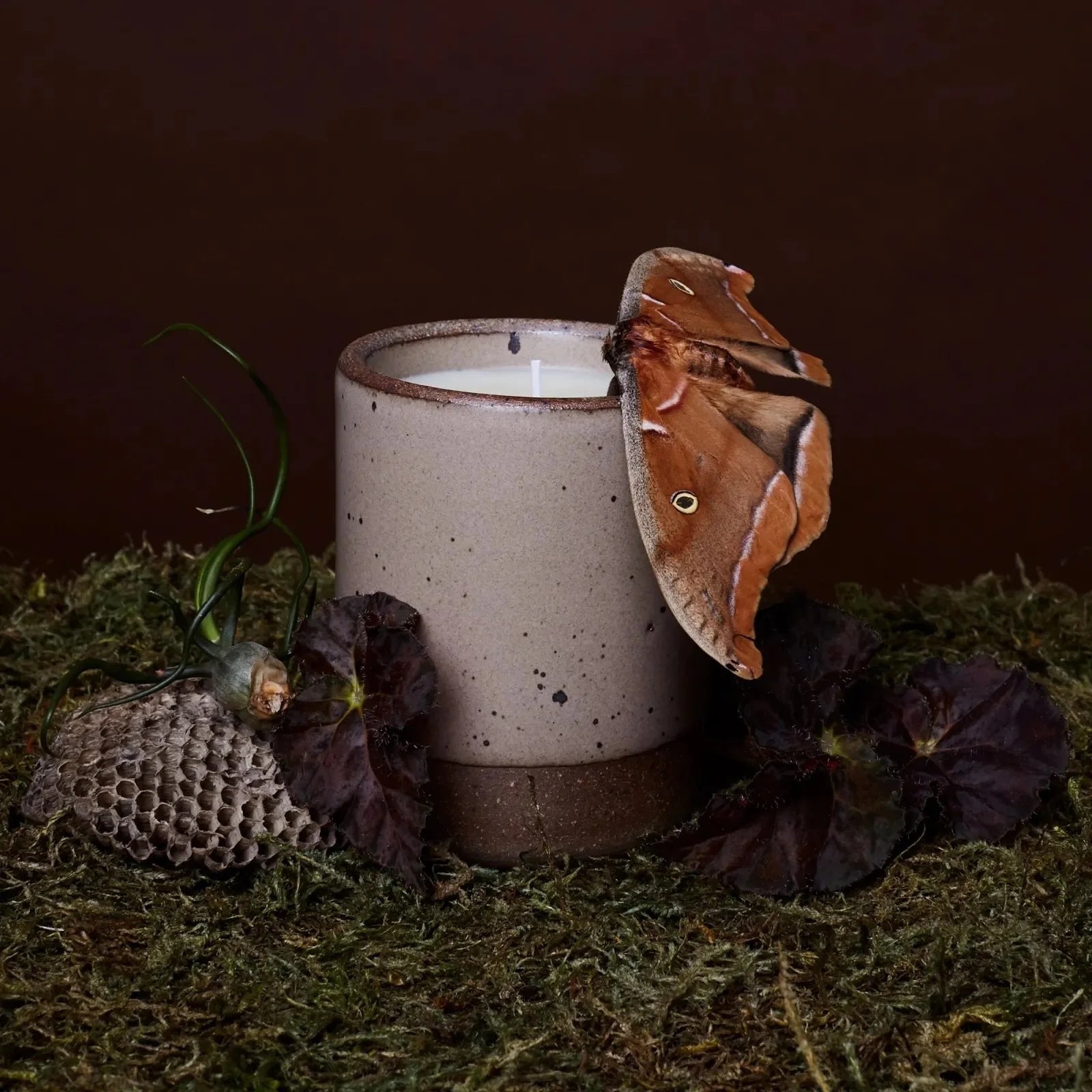 East Fork Odd Woods Candle