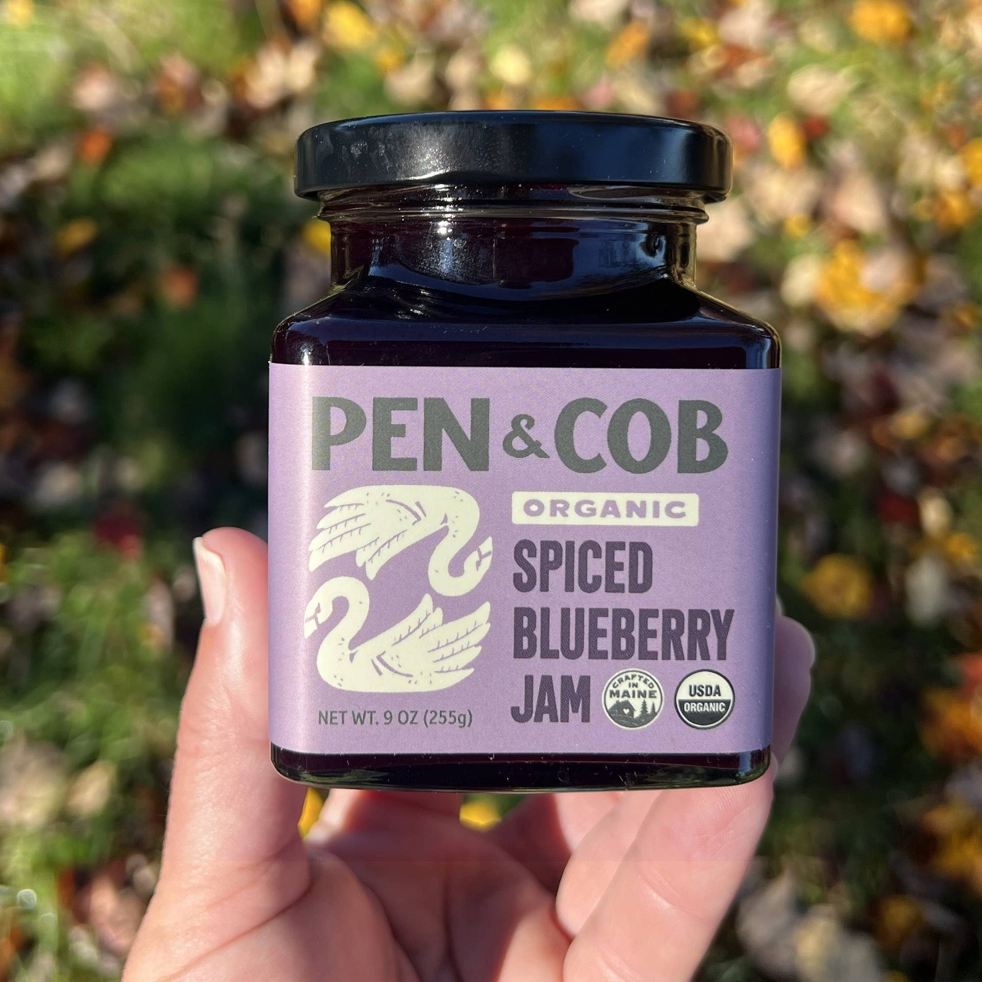 Organic Spiced Blueberry Jam