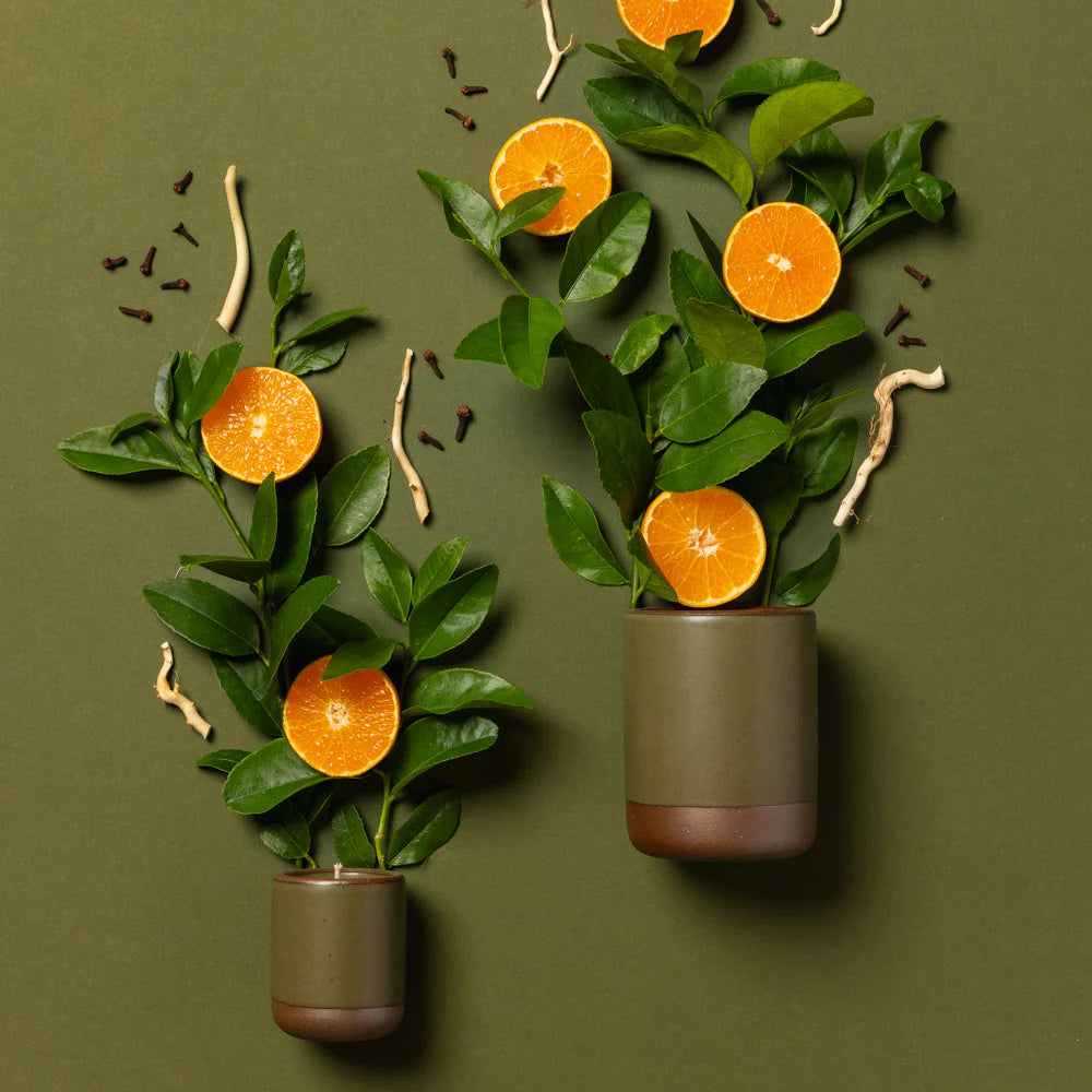 East Fork Understory Candle
