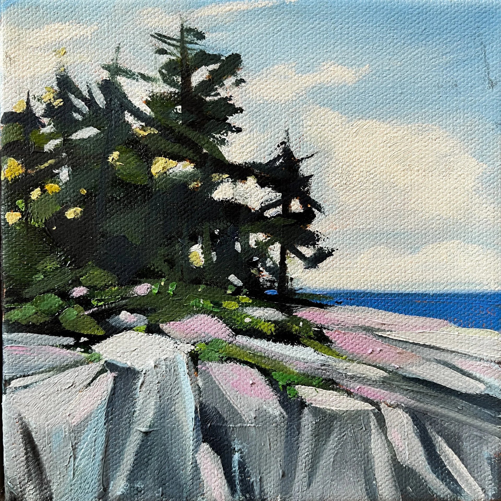 Summer Series 2024 #00149 by Sarah Lightfoot Brundage