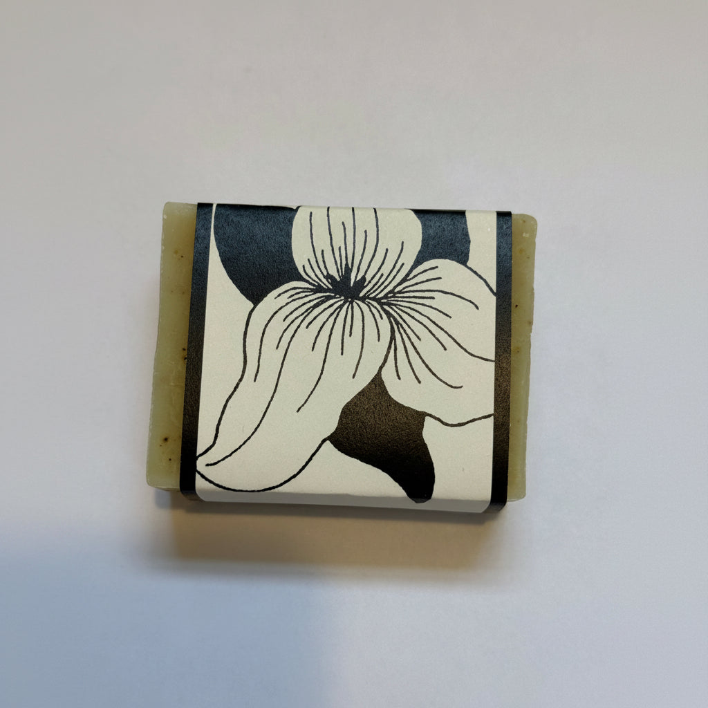 Maine Seaweed Bar Soap