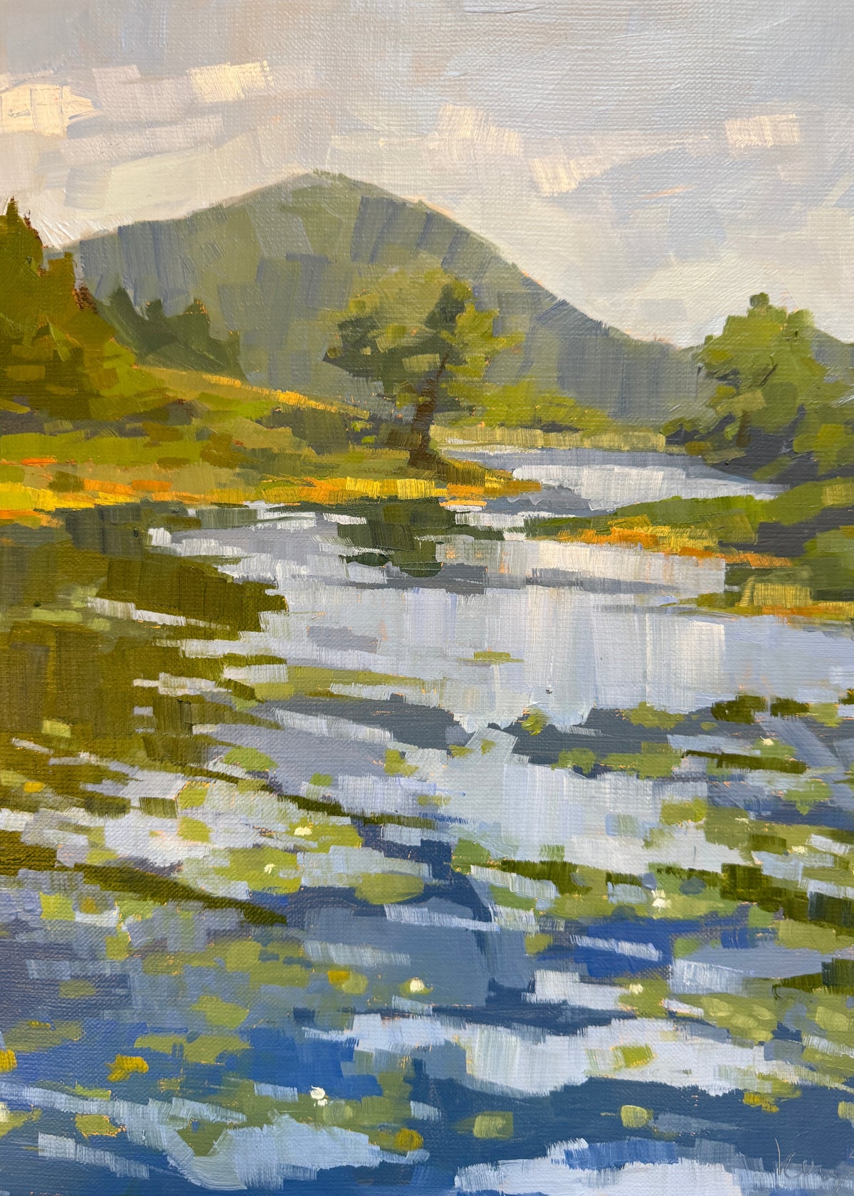 Early Lilies at Little Long Pond by Kerry Eaton