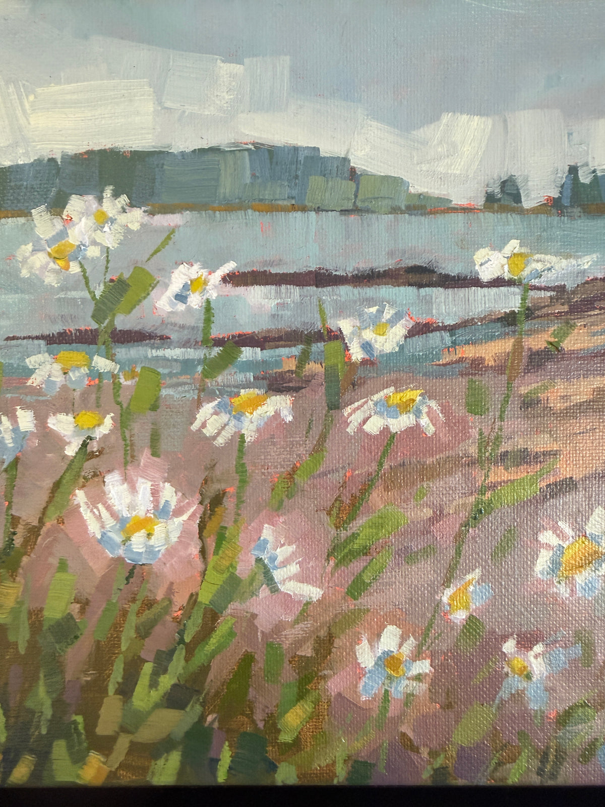 Grindstone Daises by Kerry Eaton