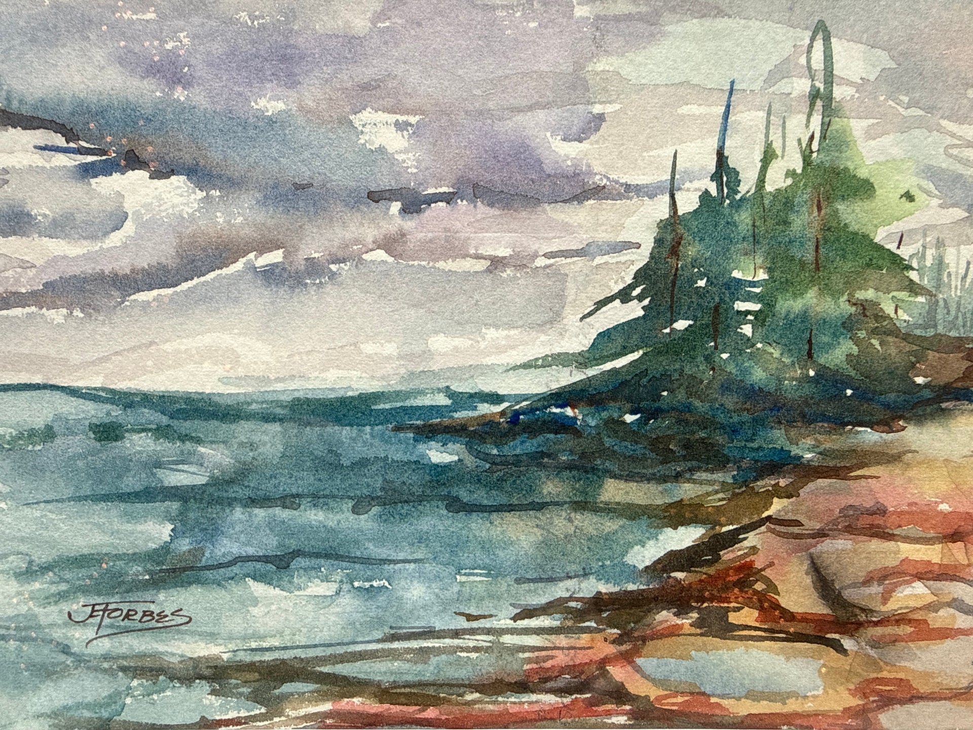 MDI Shore by Jean E. Forbes