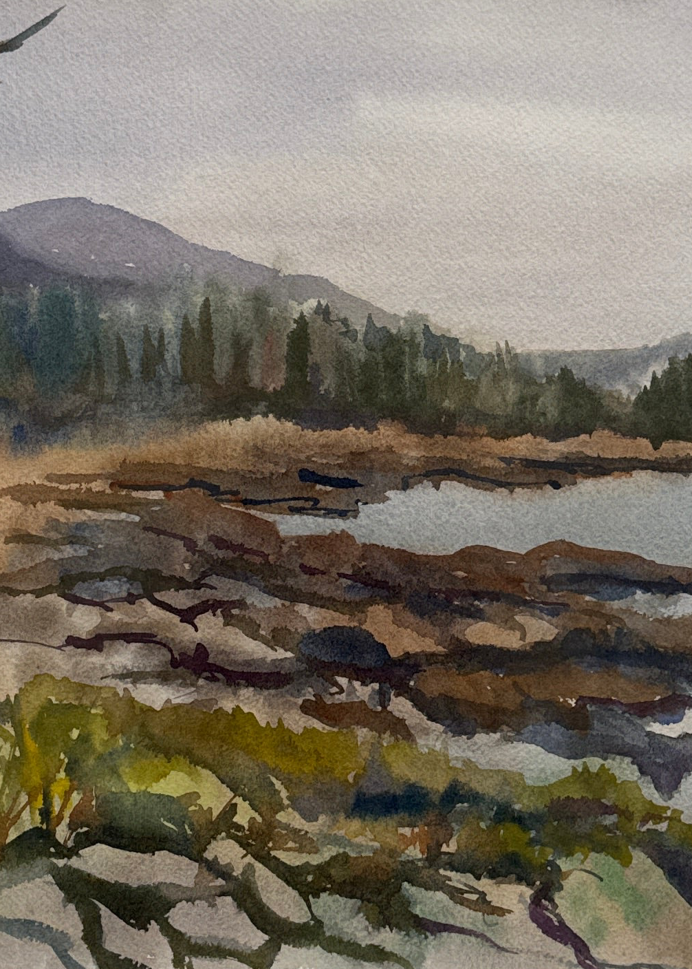 Stone, Spruce & Sea by Jean E. Forbes