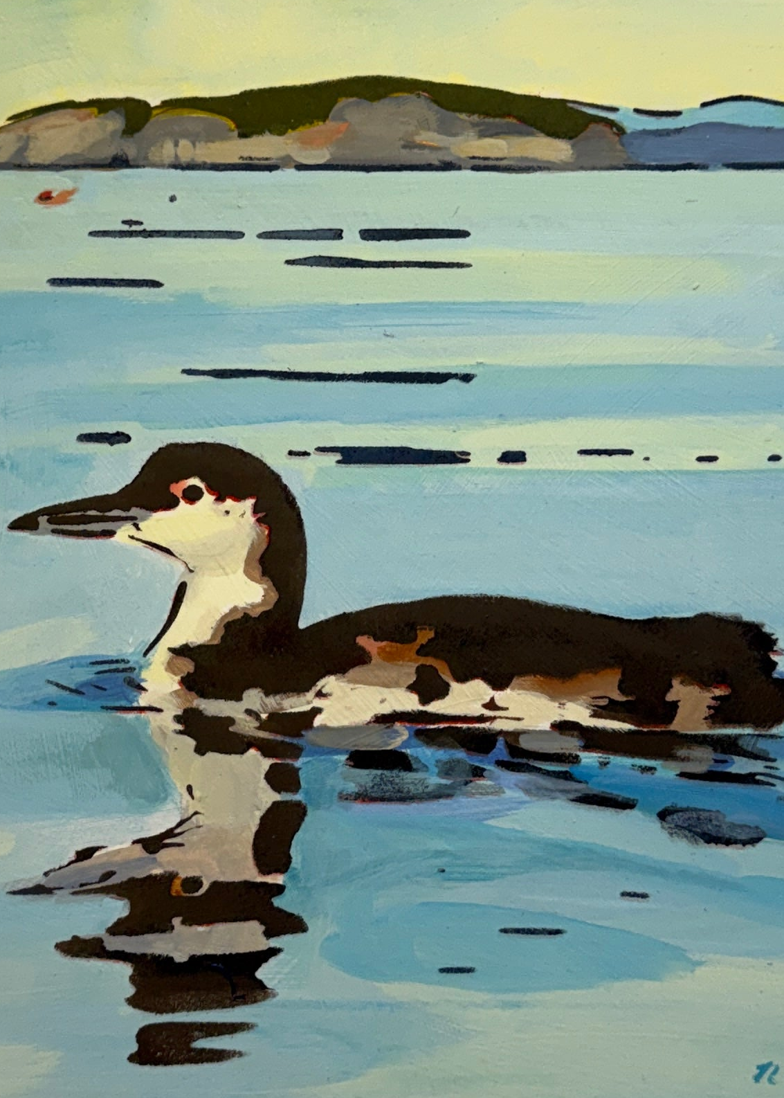 Loon by Nat Dickinson