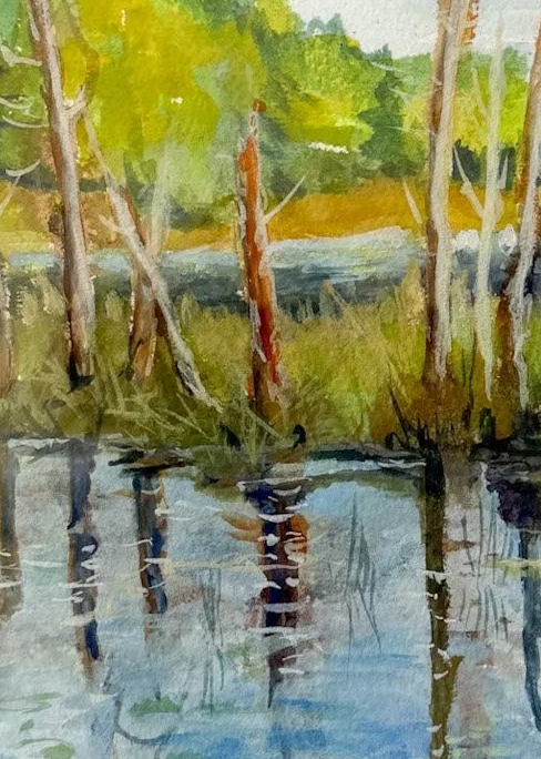 Spruce Bog by Jean E. Forbes