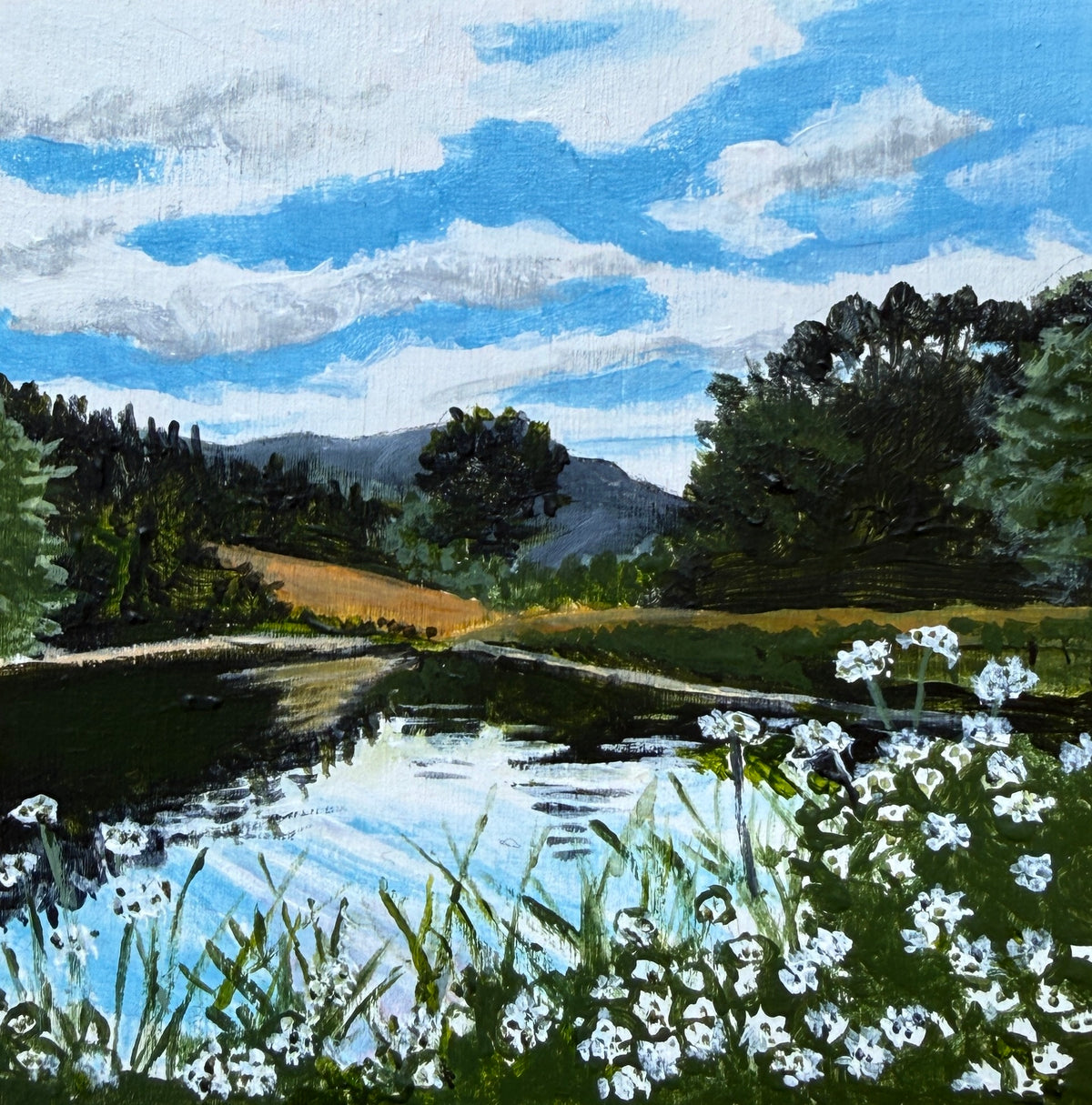 August, Little Long Pond by Cookie Horrner
