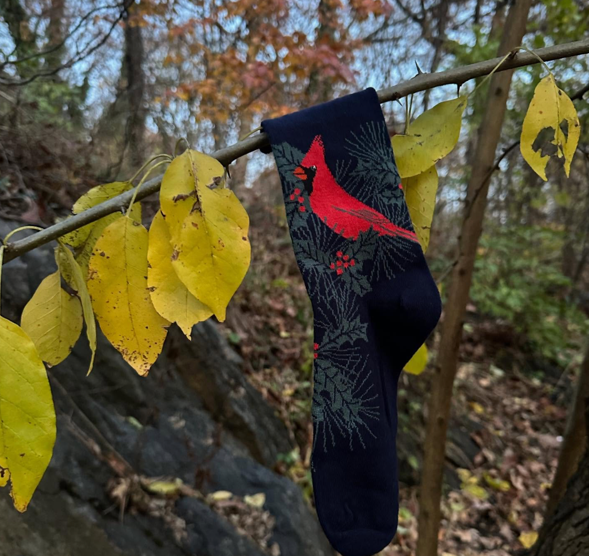 Cardinal Socks