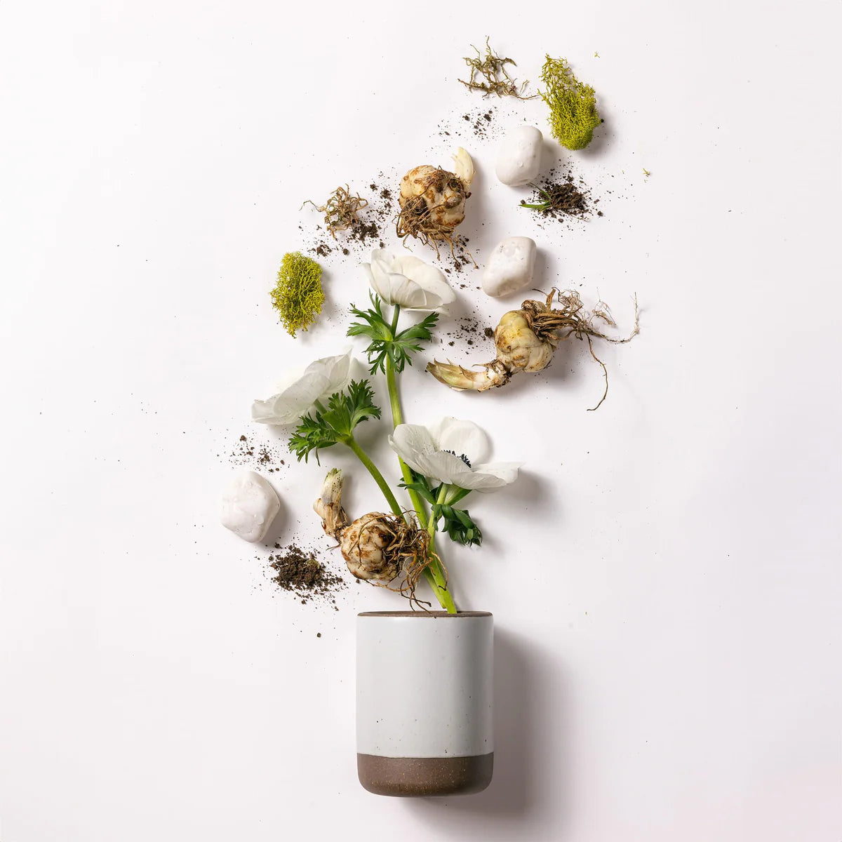East Fork Tender Earth Candle