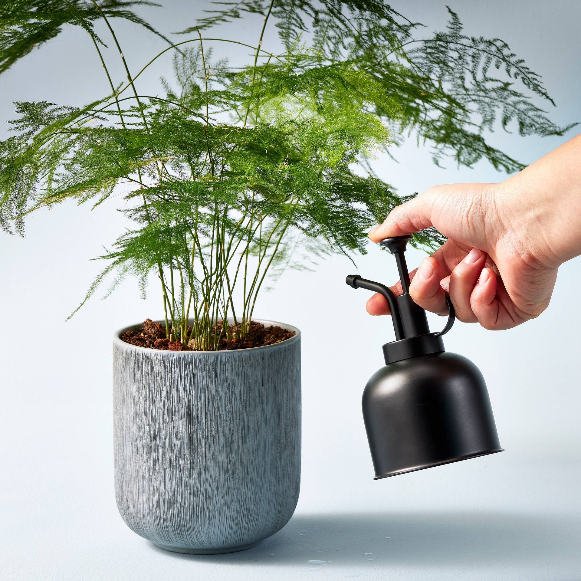 Brass Plant Mister