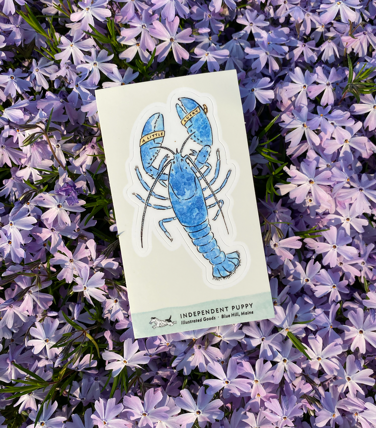 Lucky Blue Lobster Kiss-Cut Sticker