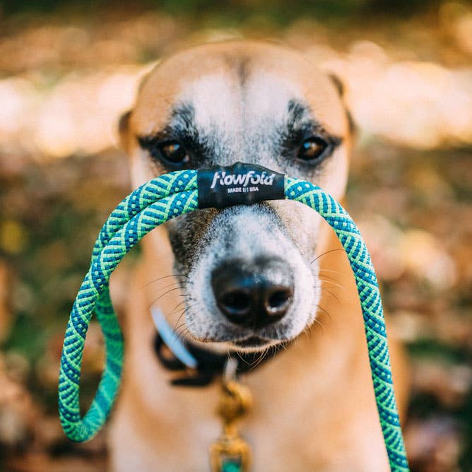 Recycled Climbing Rope 6ft Dog Leash